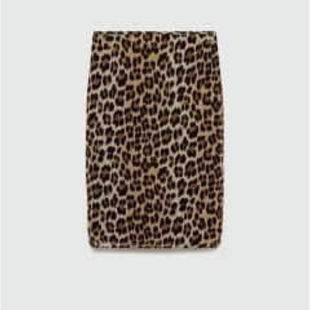 Zara Leopard Print Pencil Skirt